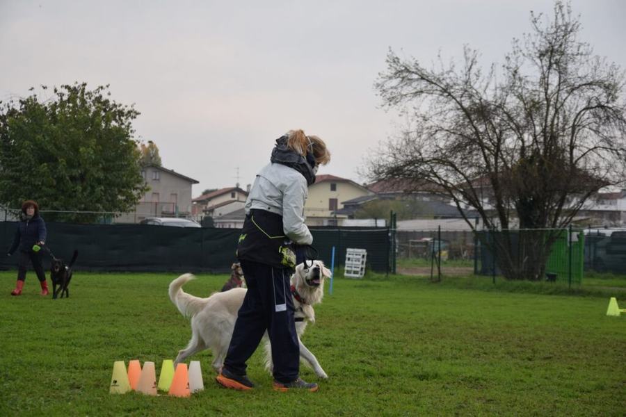 Una proprietaria lavora con un cane bianco tra i coni colorati durante una classe
