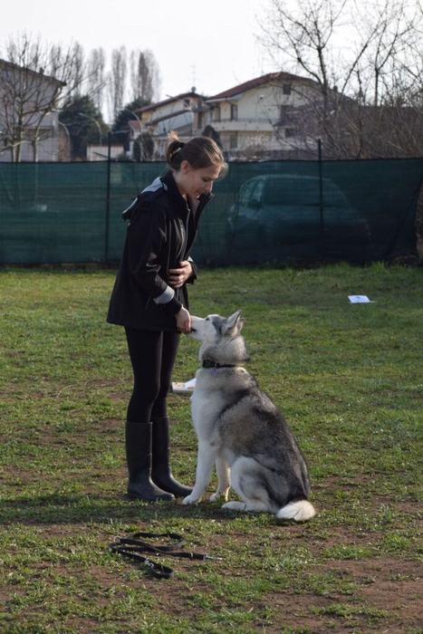 Un'educatrice in piedi sul campo con un husky seduto accanto a lei
