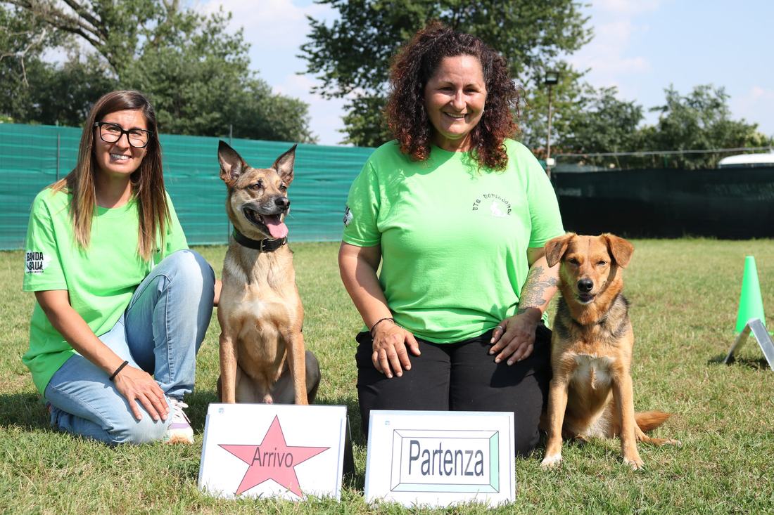 Due istruttrici BandaBau sedute sul prato con i loro cani, davanti ai cartelli Partenza e Arrivo di un percorso di Rally Obedience