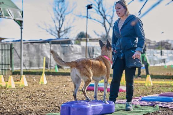 Sara La Spina con un cane in equilibrio su una pedana viola